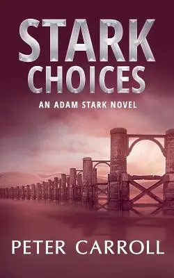 Stark Choices: Un roman Adam Stark - Stark Choices: An Adam Stark Novel