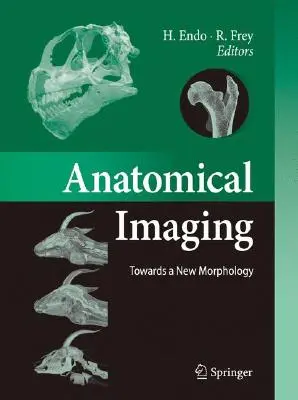 Imagistica anatomică: Către o nouă morfologie - Anatomical Imaging: Towards a New Morphology