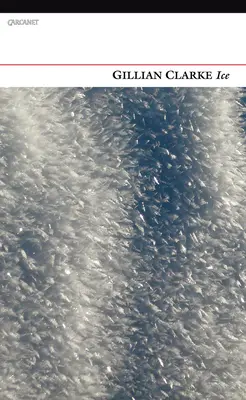 Gheață - Ice