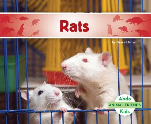 Șobolani - Rats