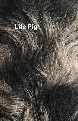 Porcul Vieții - Life Pig