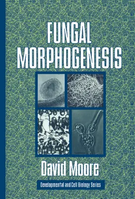 Morfogeneza fungică - Fungal Morphogenesis