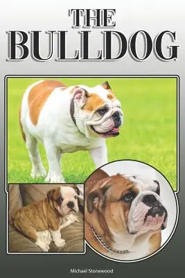 Bulldog: Un ghid complet și cuprinzător al proprietarilor pentru: Cumpărarea, Deținerea, Sănătatea, Îngrijirea, Dresajul, Obediența, Înțelegerea și - The Bulldog: A Complete and Comprehensive Owners Guide To: Buying, Owning, Health, Grooming, Training, Obedience, Understanding and