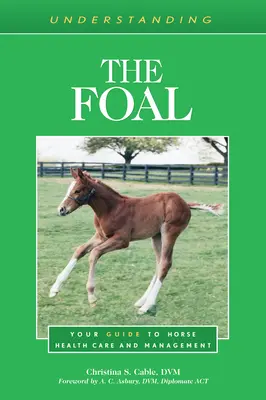 Înțelegerea mânzului: Ghidul dumneavoastră pentru îngrijirea și gestionarea sănătății cailor - Understanding the Foal: Your Guide to Horse Health Care and Management