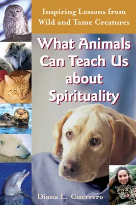 Ce ne pot învăța animalele despre spiritualitate: Lecții inspiraționale de la creaturi sălbatice și îmblânzite - What Animals Can Teach Us about Spirituality: Inspiring Lessons from Wild and Tame Creatures