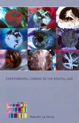Cinema experimental în era digitală - Experimental Cinema in the Digital Age