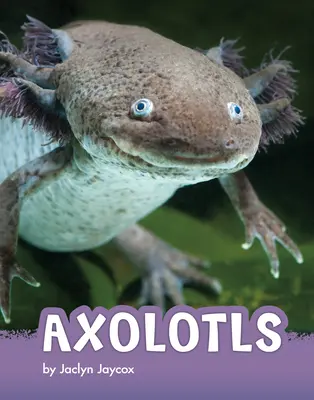 Axolotle - Axolotls