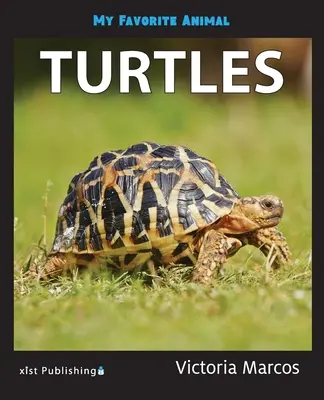 Animalul meu preferat: Țestoasele - My Favorite Animal: Turtles