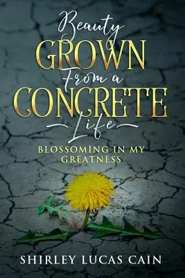 Frumusețe crescută dintr-o viață concretă: Înflorind în măreția mea - Beauty Grown from a Concrete Life: Blossoming in My Greatness