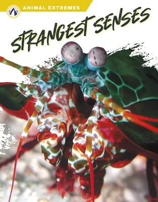 Cele mai ciudate simțuri - Strangest Senses