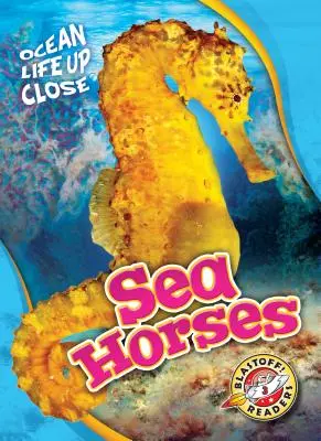 Cai de mare - Sea Horses