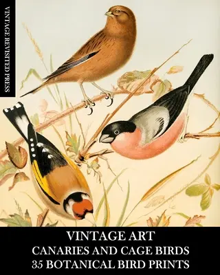 Vintage Art: Canari și păsări de colivie: 35 de printuri botanice: Ephemera pentru înrămare, decoupage și mixed media - Vintage Art: Canaries and Cage Birds 35 Botanical Prints: Ephemera for Framing, Decoupage, and Mixed Media
