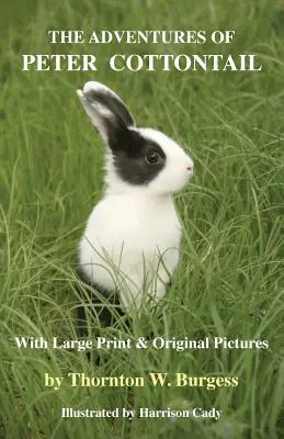 Aventurile lui Peter Cottontail: Cu tipar mare și imagini originale - The Adventures of Peter Cottontail: With Large Print and Original Pictures