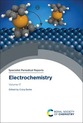 Electrochimie: Volumul 17 - Electrochemistry: Volume 17