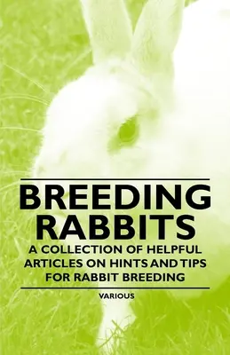 Creșterea iepurilor - O colecție de articole utile despre indicii și sfaturi pentru creșterea iepurilor - Breeding Rabbits - A Collection of Helpful Articles on Hints and Tips for Rabbit Breeding
