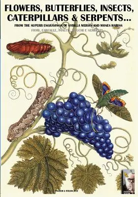 flori, fluturi, insecte, omizi și șerpi...: Din gravurile Sybilla Merian & Moses Hariss din secolele XVII-XVIII - flowers, butterflies, insects, caterpillars & serpents...: From Sybilla Merian & Moses Hariss XVII-XVIII Centuries engravings