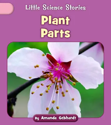 Părți de plante - Plant Parts