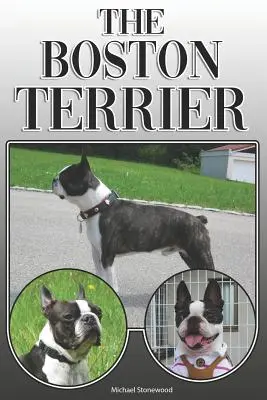 The Boston Terrier: Un ghid complet și cuprinzător al proprietarilor pentru: Cumpărarea, Deținerea, Sănătatea, Îngrijirea, Dresajul, Obediența, Înțelegerea și - The Boston Terrier: A Complete and Comprehensive Owners Guide To: Buying, Owning, Health, Grooming, Training, Obedience, Understanding and