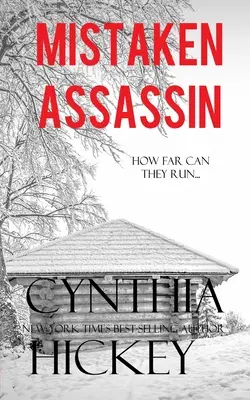 Asasinul greșit - Mistaken Assassin