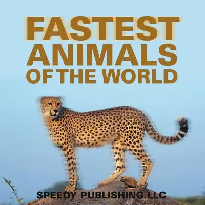 Cele mai rapide animale din lume - Fastest Animals Of The World