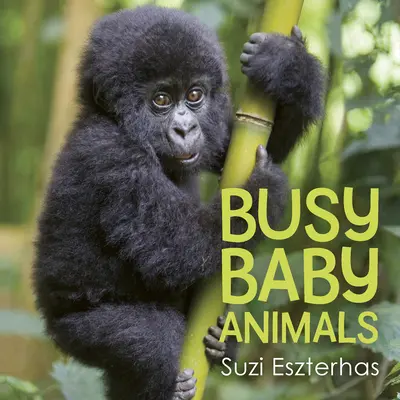 Animale pentru copii ocupate - Busy Baby Animals
