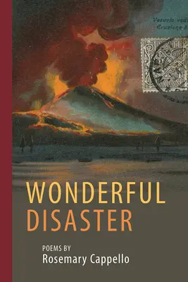Minunat dezastru - Wonderful Disaster