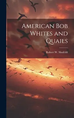Bob alb și prepelițe americane (American bob whites and quails) - American bob Whites and Quails