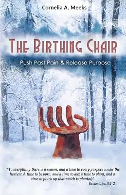 Scaunul de naștere: Împinge dincolo de durere și eliberează scopul - The Birthing Chair: Push Past Pain & Release Purpose