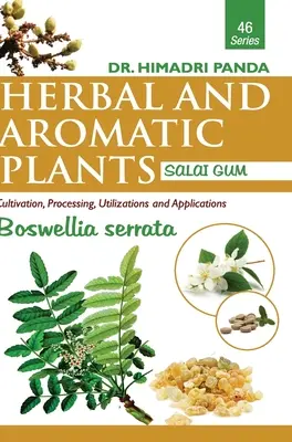 PLANTE IERBACEE ȘI AROMATICE - 46. Boswellia serrata (Salai Gum) - HERBAL AND AROMATIC PLANTS - 46. Boswellia serrata (Salai Gum)