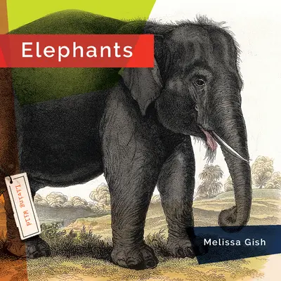 Elefanți - Elephants