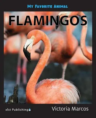 Animalul meu preferat: Flamingo - My Favorite Animal: Flamingos
