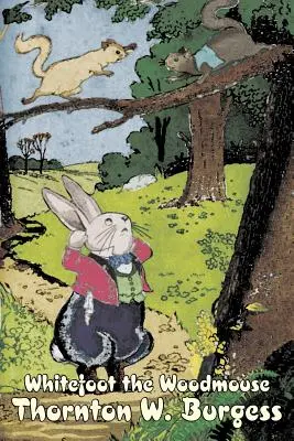Șoarecele de pădure Whitefoot de Thornton Burgess, Ficțiune, Animale, Fantezie și magie - Whitefoot the Woodmouse by Thornton Burgess, Fiction, Animals, Fantasy & Magic