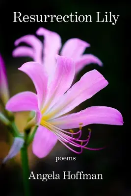 Învierea crinului - Resurrection Lily