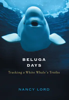 Zilele Beluga: Urmărind adevărurile unei balene albe - Beluga Days: Tracking a White Whale's Truths