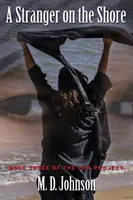 Un străin pe țărm: Cartea a treia din Proiectul ISIS - A Stranger on the Shore: Book Three of The ISIS Project