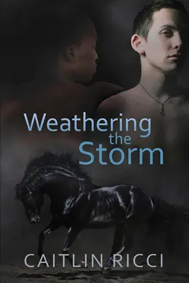 Înfruntând furtuna: Volumul 1 - Weathering the Storm: Volume 1
