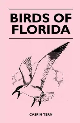 Păsările din Florida - Birds of Florida