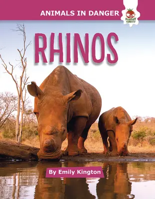Rinocerii - Rhinos