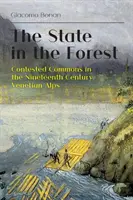 The State in the Forest: Bunuri comune contestate în Alpii venețieni ai secolului al XIX-lea - The State in the Forest: Contested Commons in the Nineteenth Century Venetian Alps