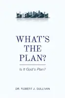 Care este planul - What's the Plan
