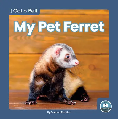 Dihorul meu de companie - My Pet Ferret