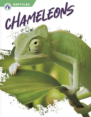 Cameleoni - Chameleons