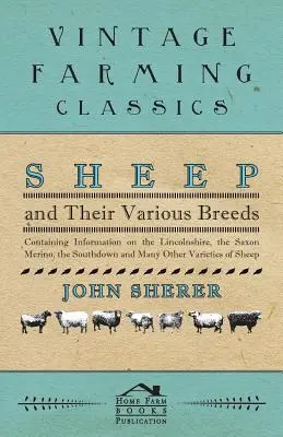 Oile și diferitele lor rase - Conține informații despre Lincolnshire, Saxon Merino, Southdown și multe alte varietăți de oi - Sheep and Their Various Breeds - Containing Information on the Lincolnshire, the Saxon Merino, the Southdown and Many Other Varieties of Sheep
