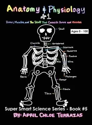 Anatomie și fiziologie Partea 1: Oase, mușchi și chestiile care leagă oasele și mușchii - Anatomy & Physiology Part 1: Bones, Muscles, and the Stuff That Connects Bones and Muscles