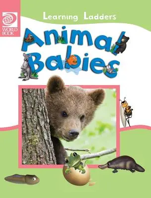 Bebelușii animalelor - Animal Babies