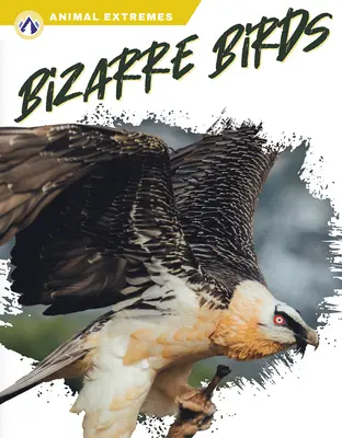 Păsări bizare - Bizarre Birds