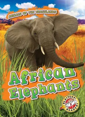 Elefanți africani - African Elephants
