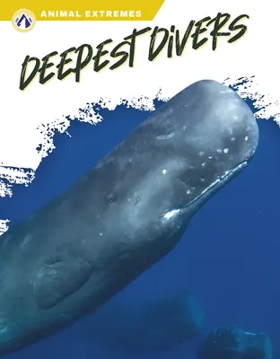Cei mai profunzi scafandri - Deepest Divers