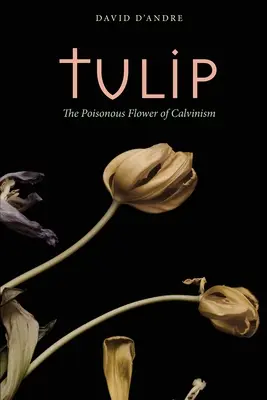 Laleaua: Floarea otrăvitoare a calvinismului - Tulip: The Poisonous Flower of Calvinism
