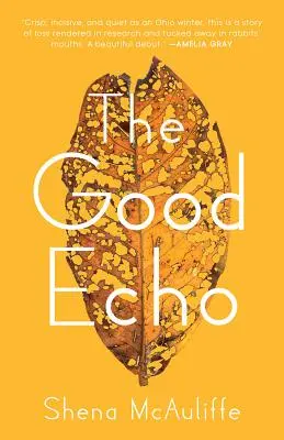 Ecoul bun - The Good Echo